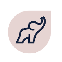 ElephantSkin – Hygiene trifft Nachhaltigkeit